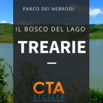 BOSCO DEL LAGO TREARIE