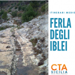 ferla degli iblei (1)